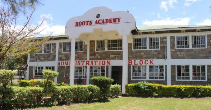 Roots academy school